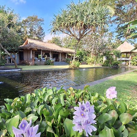 Bali Beach Eco Villas Pondok Matekap Selemadeg  Exterior foto