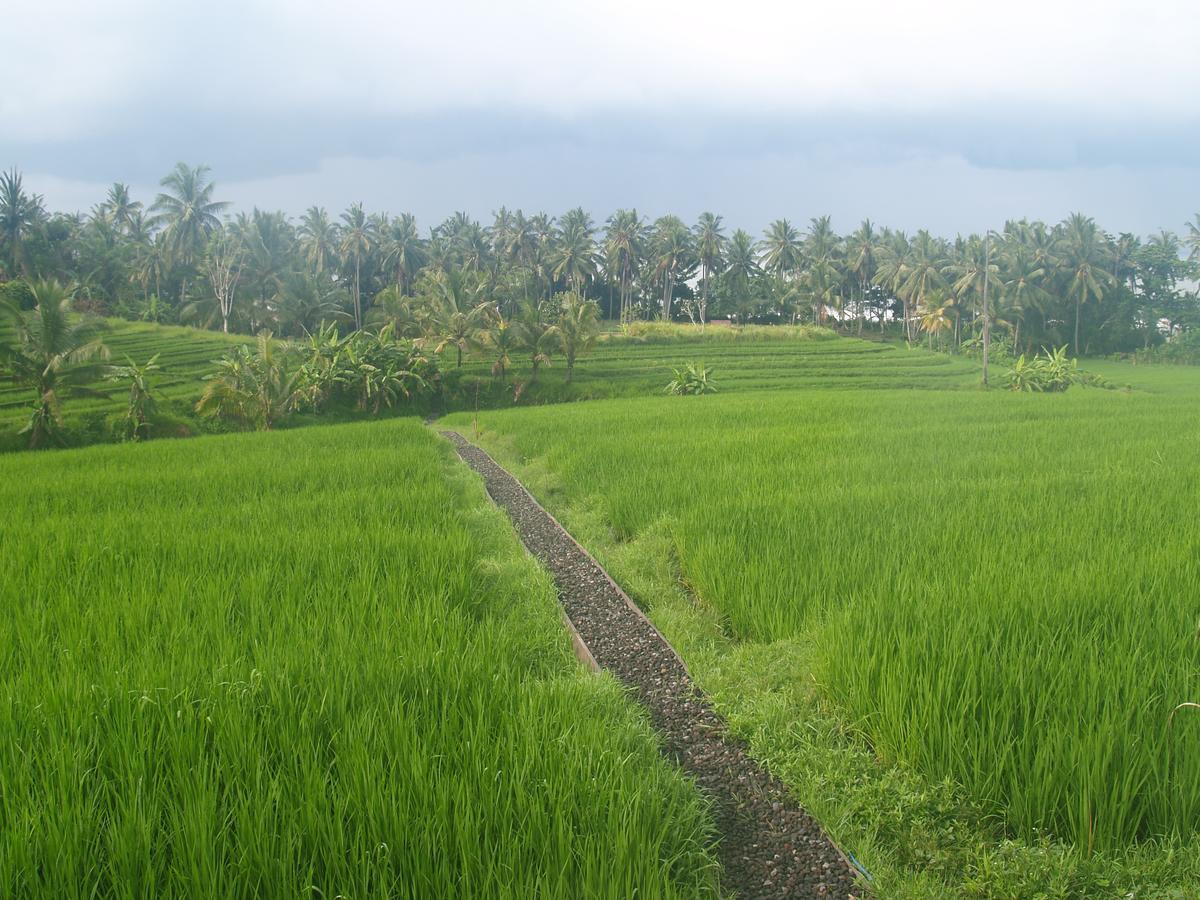 Bali Beach Eco Villas Pondok Matekap Selemadeg  Exterior foto