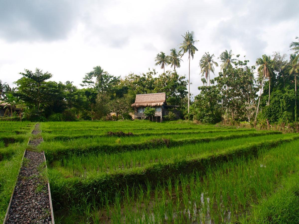 Bali Beach Eco Villas Pondok Matekap Selemadeg  Exterior foto