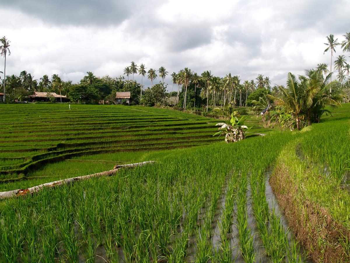 Bali Beach Eco Villas Pondok Matekap Selemadeg  Exterior foto