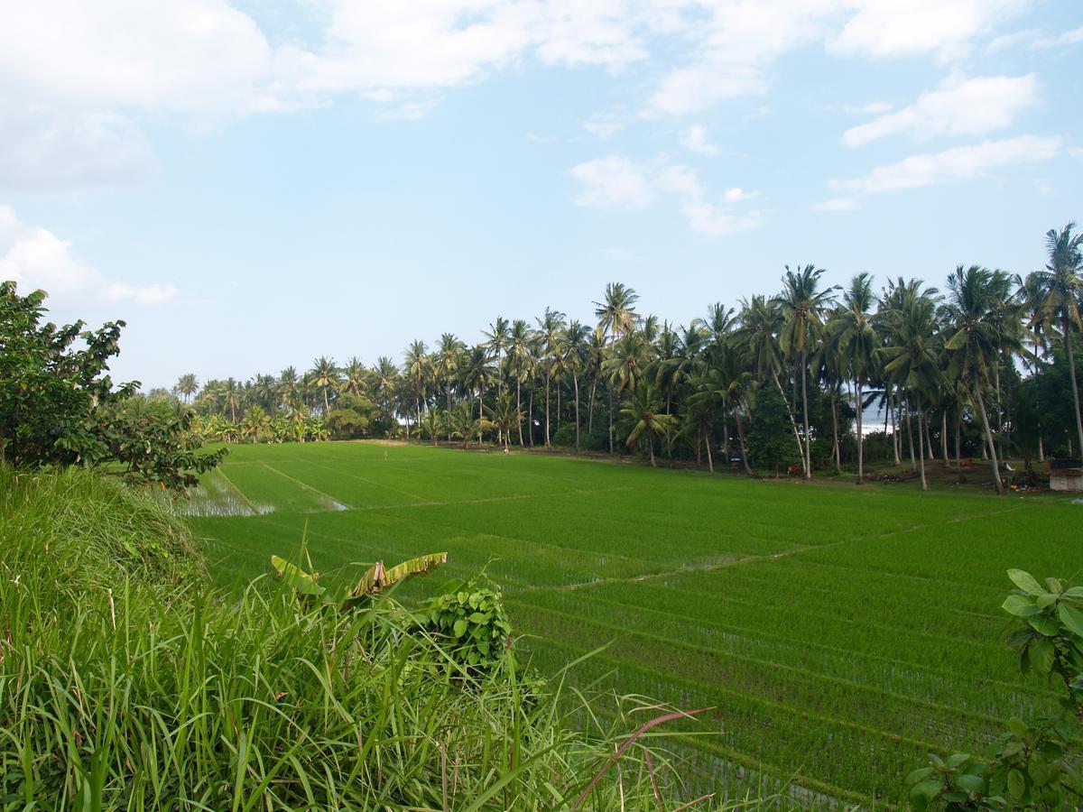 Bali Beach Eco Villas Pondok Matekap Selemadeg  Exterior foto