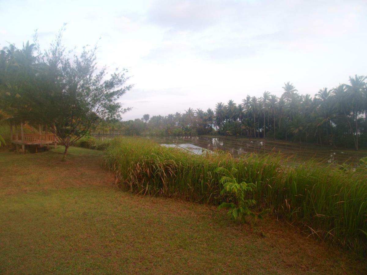 Bali Beach Eco Villas Pondok Matekap Selemadeg  Exterior foto